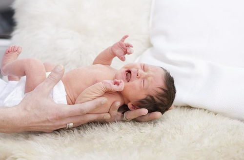 �Թ�����ͼƬ4